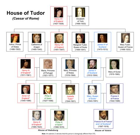 dove sono i tudor|house of tudor succession.